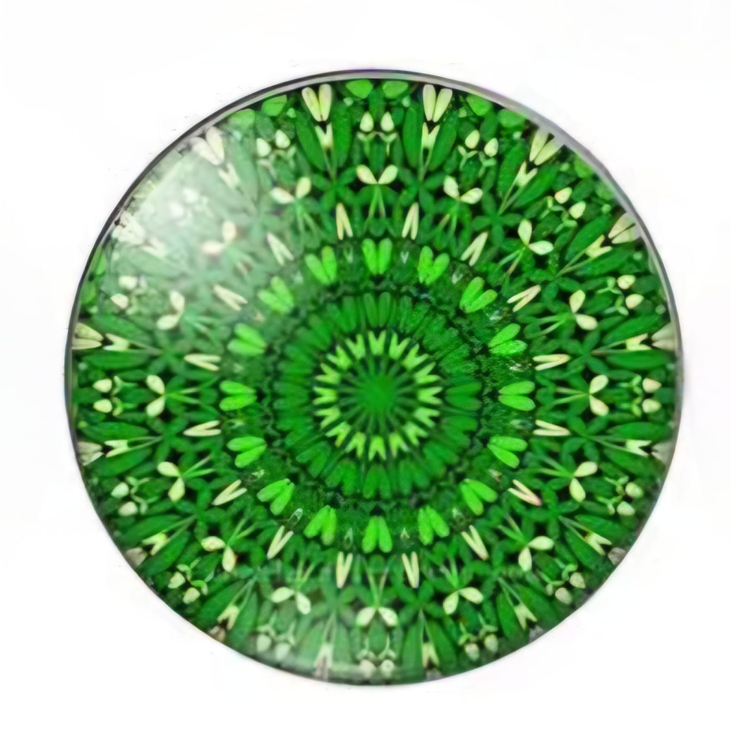 SNAP MANDALA ODCIENIE ZIELENI SMD008